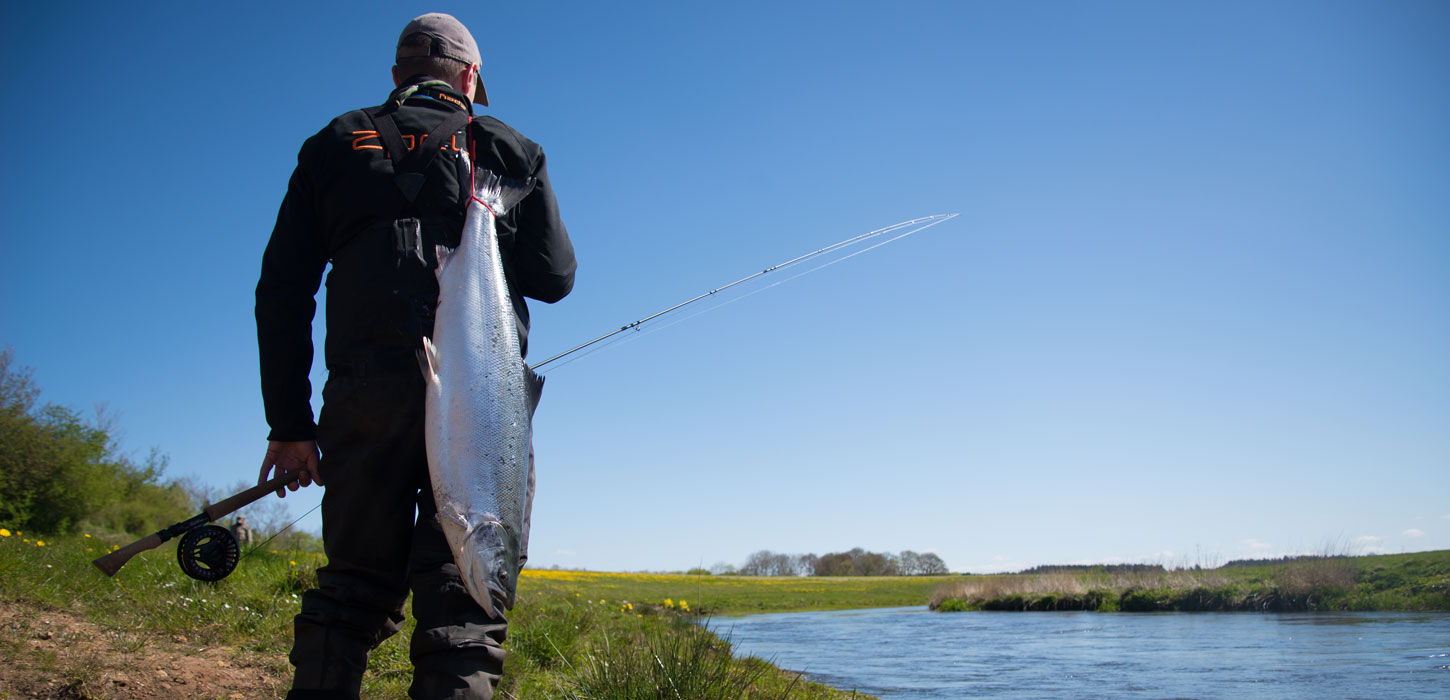 Skjern Å (Skjern stream)