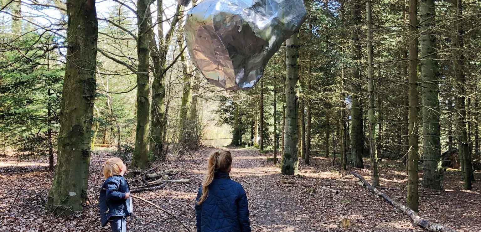 Deep Forest Art Land - Skovsnogen