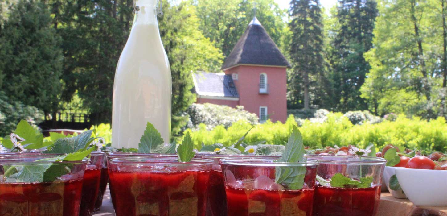 Skarrildhus Sinatur Hotel & Konference