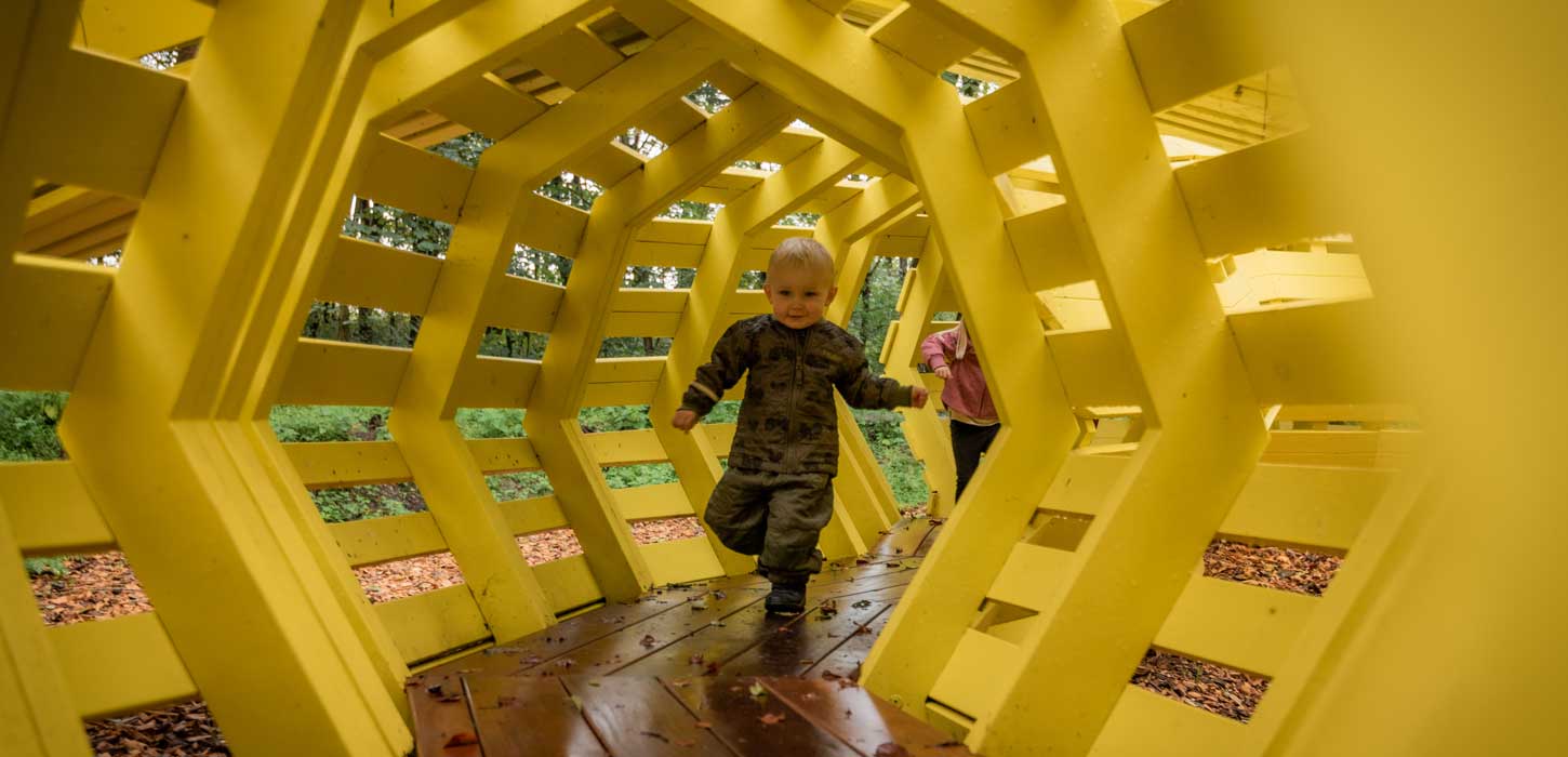 Deep Forest Art Land - Skovsnogen