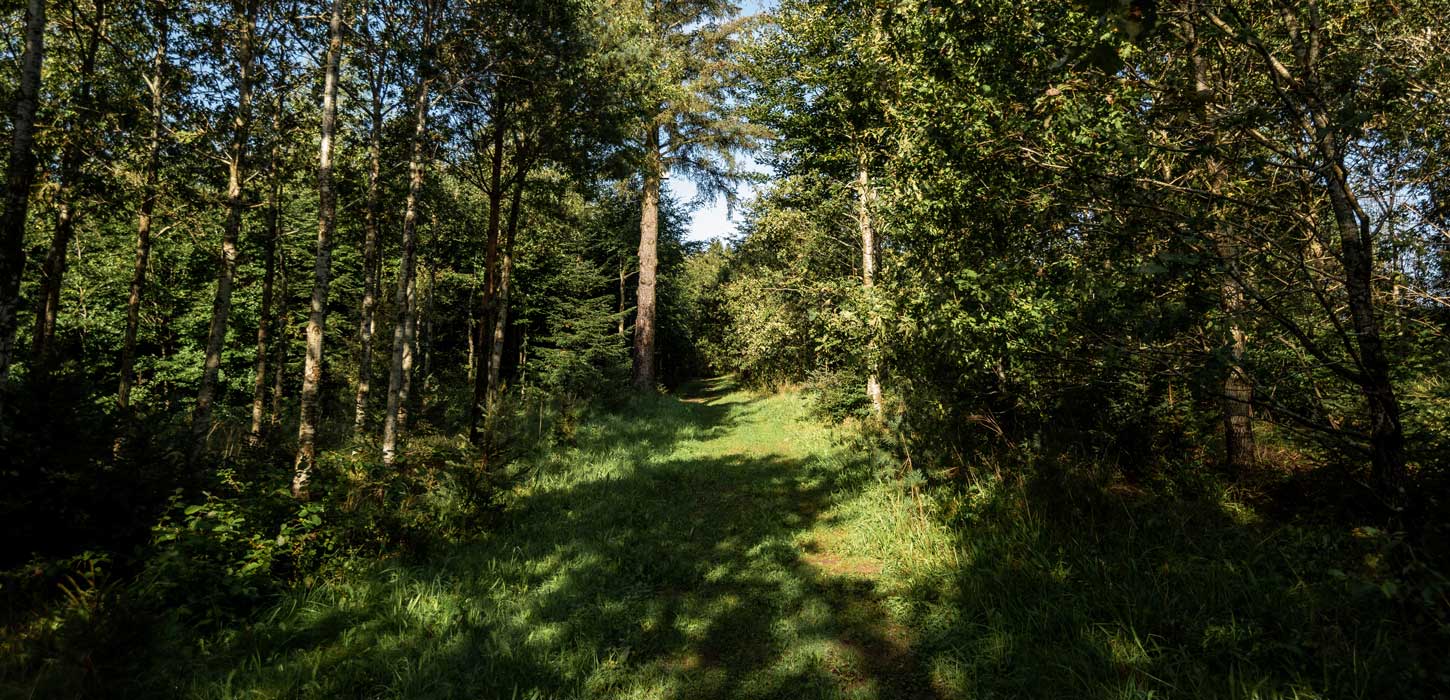 Sporet ved Ejstrupholm og Thorlund