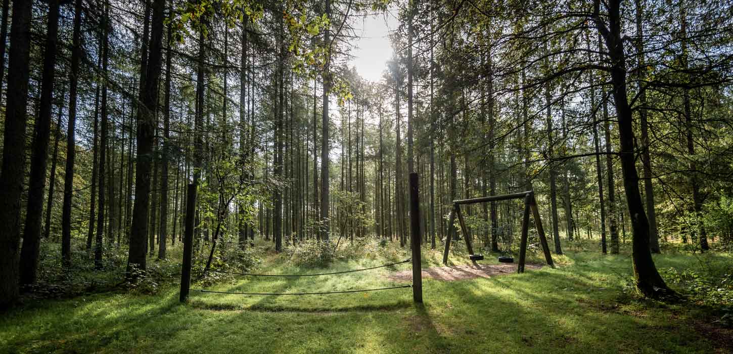 Skovlegeplads ved Hampen Sø