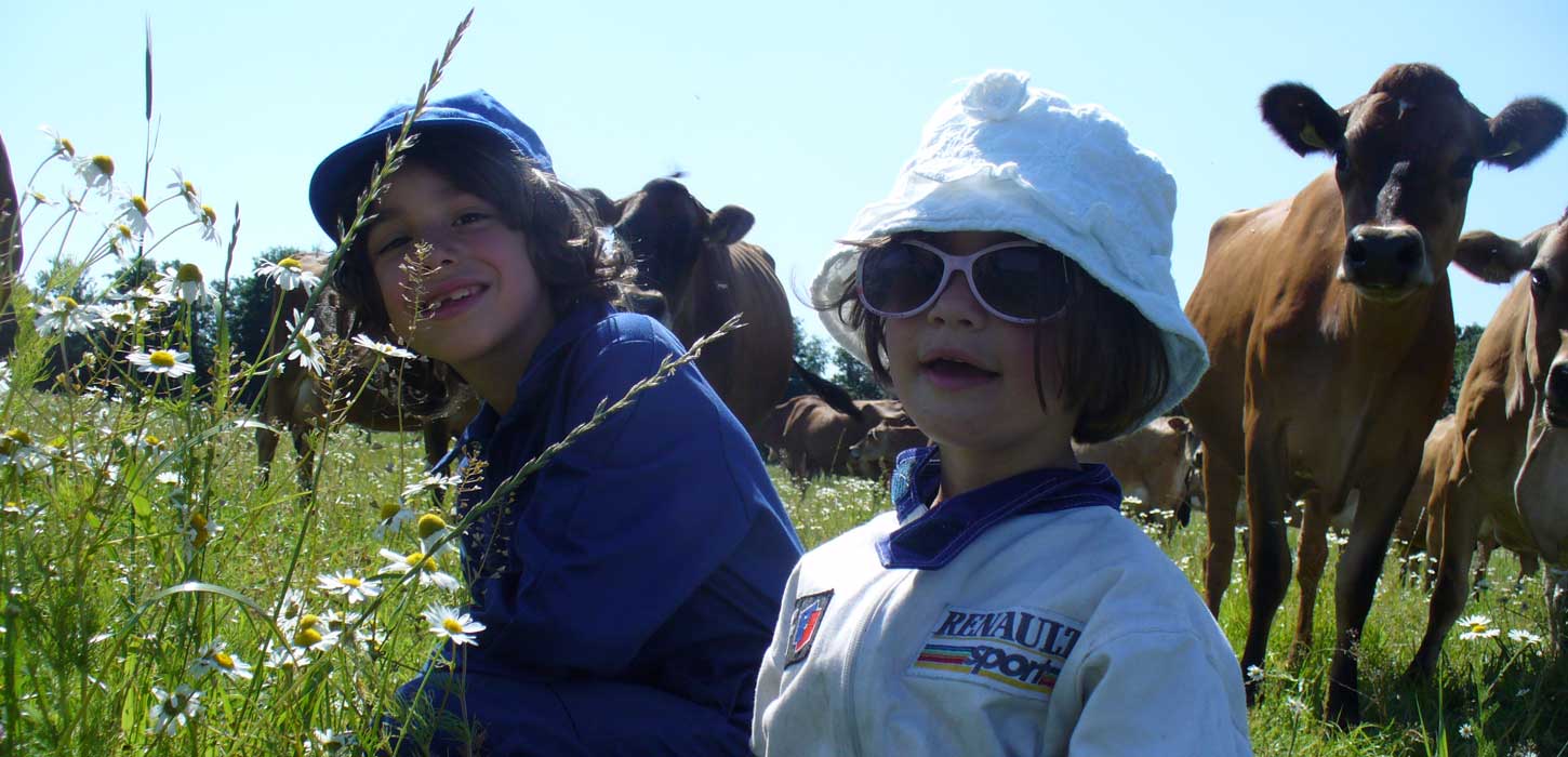Gyvelborg Øko-camping & Gårdbutik