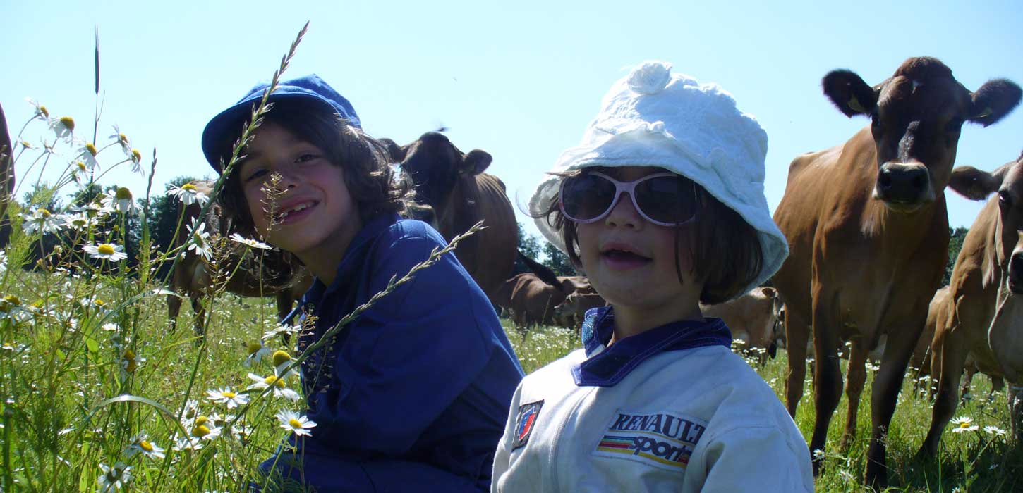 Gyvelborg Økocamping & Gårdbutik
