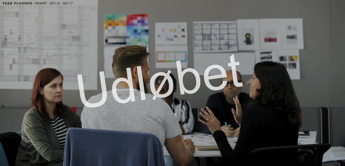 Udbud af konsulentopgave