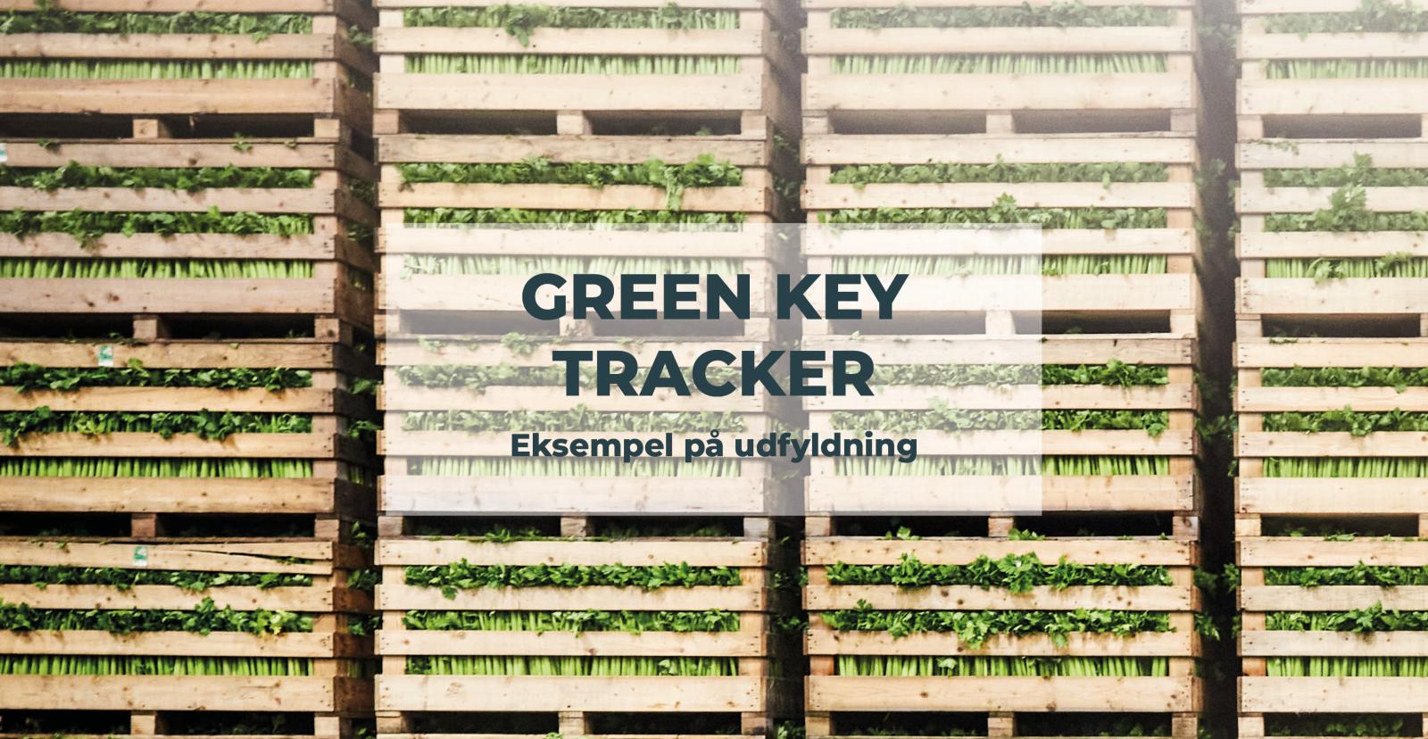 Green Key Tracker - eksempel på udfyldning