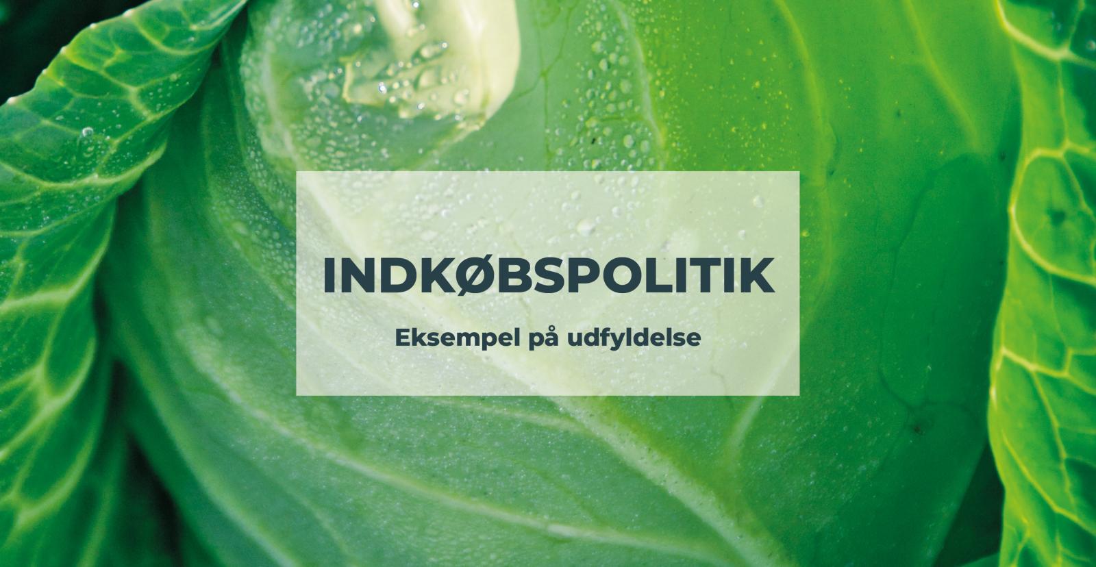 Indkøbspolitik - eksempel på udfyldelse