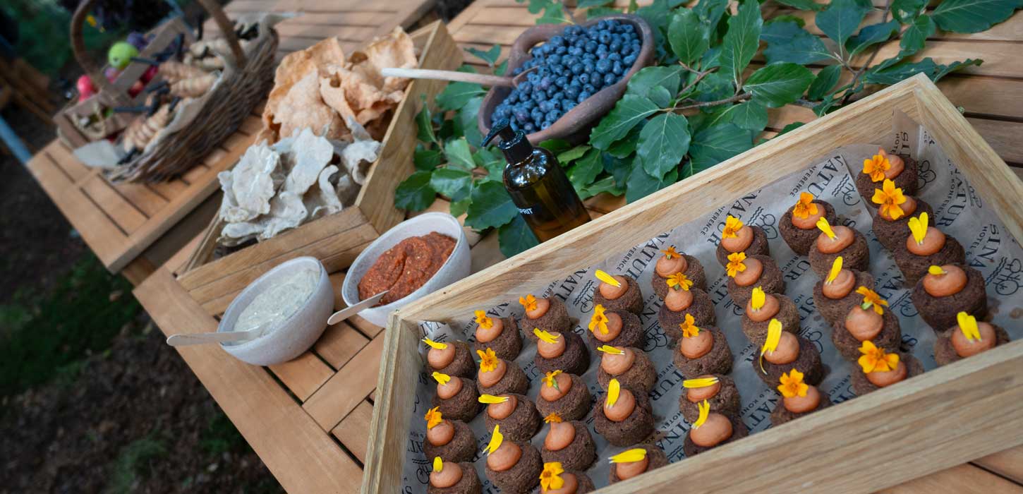 Skarrildhus Sinatur Hotel & Konference